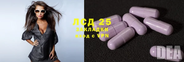 гидропоника Бородино