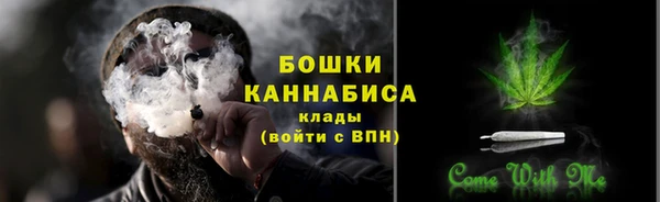 дживик Богданович