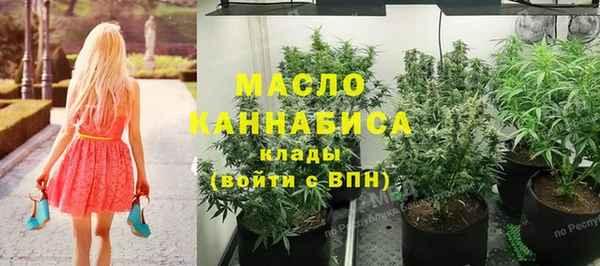 гидропоника Бородино