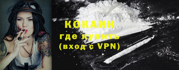 дживик Богданович